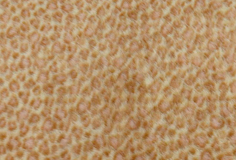 Kain bulu imitasi motif macan tutul cetak cerpelai Eropa lebar 160mm Kain bulu imitasi motif macan tutul cetak cerpelai Eropa lebar 160mm